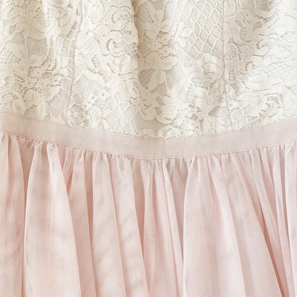 Ted Baker Blush Pink Lace Tulle Dress - Picture 4 of 5